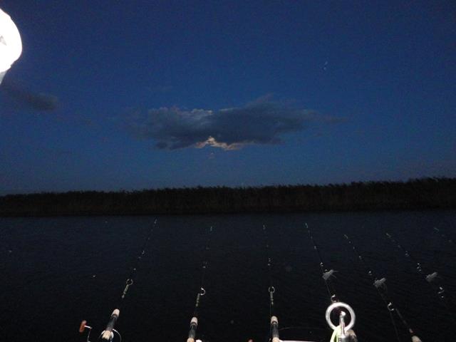 Sulina sept. 2013 - part. II - dsc00716.JPG